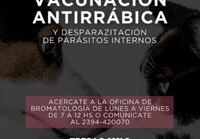 🐶🐱 Vacunación antirrábica y desparazitación de parasitos internos para perros y gatos.