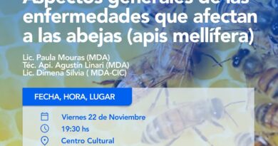 🟡 Charla informativa sobre enfermedades en abejas 🐝