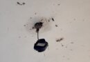 VANDALISMO EN EL CIC DEL BARRIO LA UNIÓN