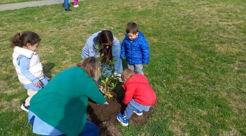 🌳✨ CELEBRAMOS JUNTOS EL DÍA DEL ÁRBOL EN TODO EL DISTRITO✨🌳