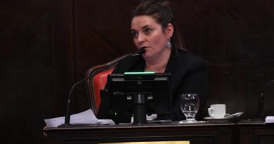 El Senado bonaerense aprobó la adhesión al Régimen Federal de Empleo Protegido para Personas con Discapacidad