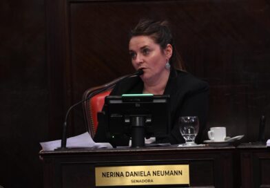 El Senado bonaerense aprobó la adhesión al Régimen Federal de Empleo Protegido para Personas con Discapacidad