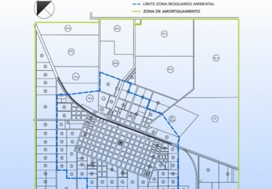 🌱 TAREAS DE VERIFICACIÓN AMBIENTAL EN DISTINTOS SECTORES