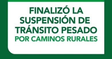 🟩 BANDERA VERDE 🟩