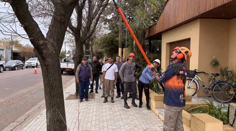 EN MAYO COMIENZA LA TEMPORADA DE PODA: SIEMPRE SE DEBE SOLICITAR AUTORIZACIÓN PREVIA