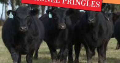 Ganadera Salliquelo: Informa.