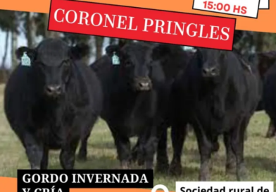 Ganadera Salliquelo: Informa.