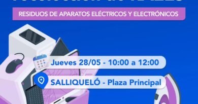 CAMPAÑA DE RECOLECCIÓN DE RAEES Y PILAS