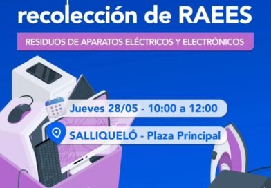 CAMPAÑA DE RECOLECCIÓN DE RAEES Y PILAS
