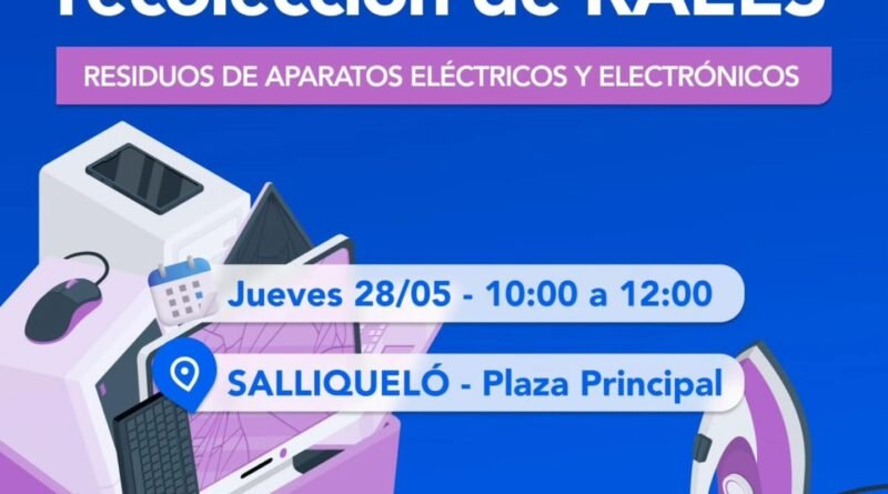 CAMPAÑA DE RECOLECCIÓN DE RAEES Y PILAS