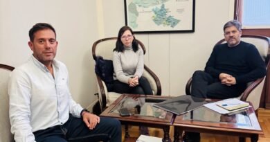 GESTIONES EN LA PLATA