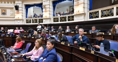 La Ley Joaquín obtuvo media sanción en la legislatura bonaerense