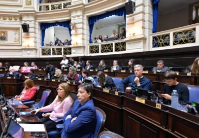 La Ley Joaquín obtuvo media sanción en la legislatura bonaerense