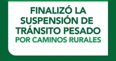 🟩 BANDERA VERDE 🟩