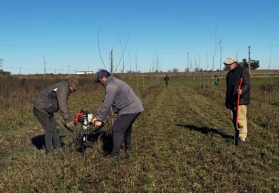 TRABAJOS DE REPOSICIÓN DE ARBOLES EN EL POLO INDUSTRIAL, COMERCIAL Y DE SERVICIOS