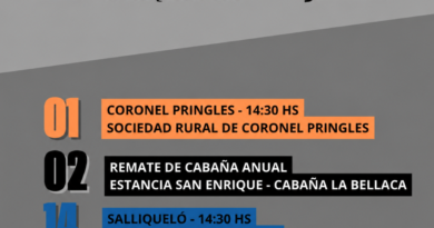 Estos son los próximos encuentros que tenemos programados para el mes: