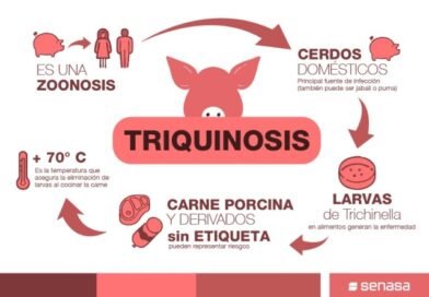 Brote de triquinosis en Madariaga: más de 100 personas afectadas, dos graves