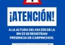 ⚠️ Precaución al circular por la Ruta Nacional 33.