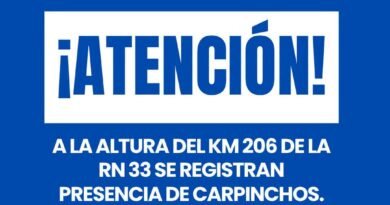 ⚠️ Precaución al circular por la Ruta Nacional 33.