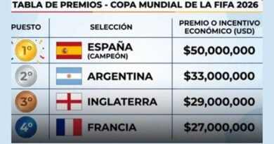 La AFA recibirá U$S 33 millones tras obtener el subcampeonato mundial de la selección