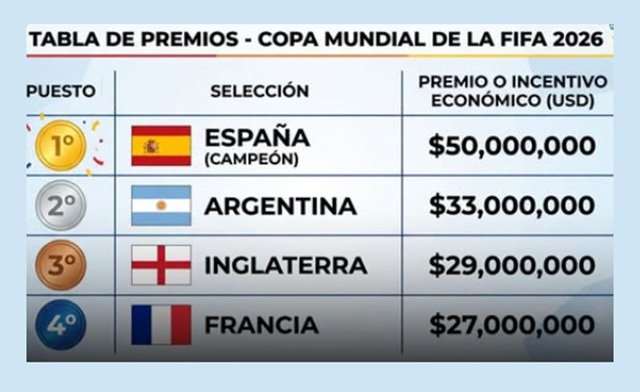 La AFA recibirá U$S 33 millones tras obtener el subcampeonato mundial de la selección
