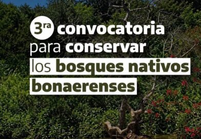 🟢 CONVOCATORIA 2026: PLANES DE CONSERVACIÓN Y MANEJO DE BOSQUE NATIVO 🟢