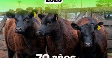 Expo Rural Salliquelo 🐄 70 años mostrando lo mejor de la ganadería bonaerense.