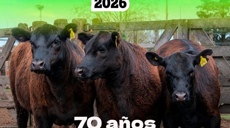 Expo Rural Salliquelo 🐄 70 años mostrando lo mejor de la ganadería bonaerense.
