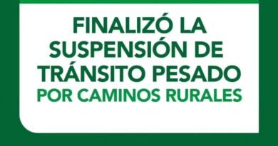 🟩 BANDERA VERDE 🟩