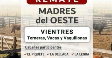 El próximo jueves 20 de agosto nos encontramos en la Sociedad Rural de Trenque Lauquen para una nueva edición de Madres del Oeste, un remate que reúne vientres seleccionados de reconocidas cabañas de la región.