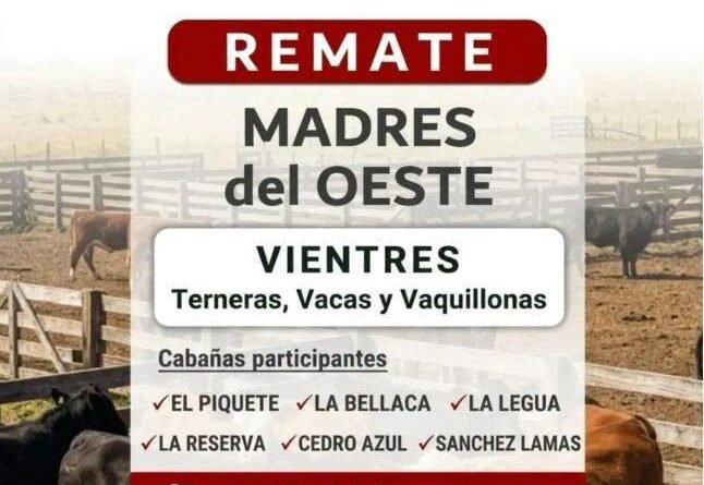 El próximo jueves 20 de agosto nos encontramos en la Sociedad Rural de Trenque Lauquen para una nueva edición de Madres del Oeste, un remate que reúne vientres seleccionados de reconocidas cabañas de la región.