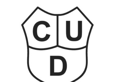 Fútbol de la Liga: D.T. Interino  para Union de Bonifacio Alejandro Cainzo.