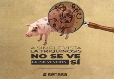 Preocupación por el aumento de casos de triquinosis en distritos del interior bonaerense