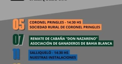 📅 Agenda de Remates – Agosto 2026