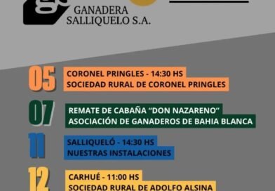 📅 Agenda de Remates – Agosto 2026