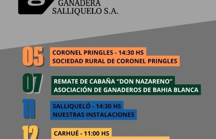 📅 Agenda de Remates – Agosto 2026
