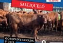 REMATE FERIA EN SALLIQUELÓ
