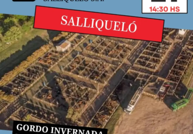 Ganadera Salliquelo: REMATE EN EL MARCO DE LA EXPO RURAL DE SALLIQUELÓ