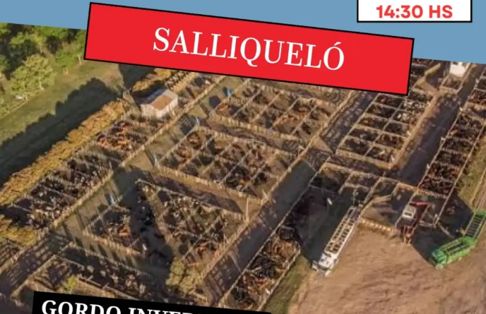 Ganadera Salliquelo: REMATE EN EL MARCO DE LA EXPO RURAL DE SALLIQUELÓ