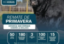 REMATE DE PRIMAVERA – ESTANCIA SAN ENRIQUE Y CABAÑA LA BELLACA
