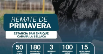 REMATE DE PRIMAVERA – ESTANCIA SAN ENRIQUE Y CABAÑA LA BELLACA