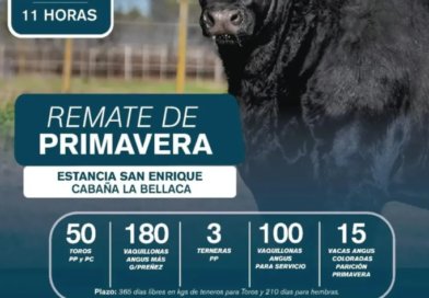 REMATE DE PRIMAVERA – ESTANCIA SAN ENRIQUE Y CABAÑA LA BELLACA