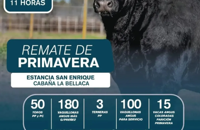 REMATE DE PRIMAVERA – ESTANCIA SAN ENRIQUE Y CABAÑA LA BELLACA