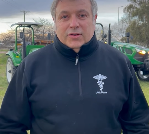 DOS TRACTORES NUEVOS