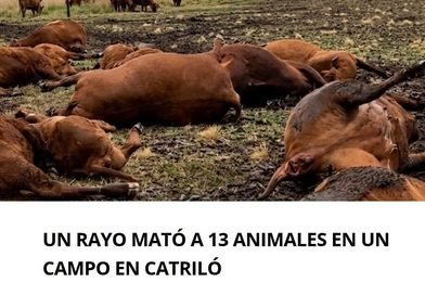 Un rayo mató a 13 animales en una estancia al norte de Catriló