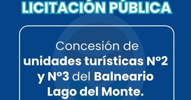 Guamini: 📢 LLAMADO A LICITACIÓN PÚBLICA