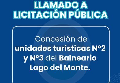 Guamini: 📢 LLAMADO A LICITACIÓN PÚBLICA