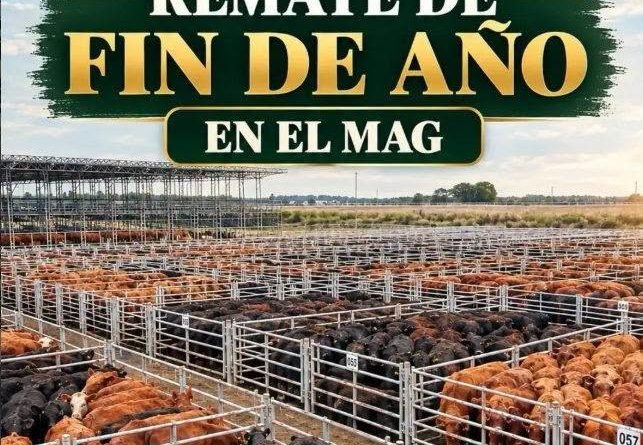Ganadera Salliquelo: 💥REMATE DE FIN DE AÑO EN EL MERCADO AGROGANADERO DE CAÑUELAS