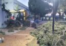 Trenque Lauquen: Operativo de emergencia del Municipio por la caída de árboles y postes de luz como consecuencia de los fuertes vientos