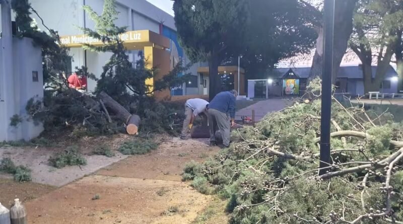 Trenque Lauquen: Operativo de emergencia del Municipio por la caída de árboles y postes de luz como consecuencia de los fuertes vientos